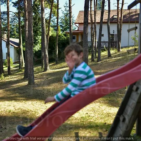 Orlik
